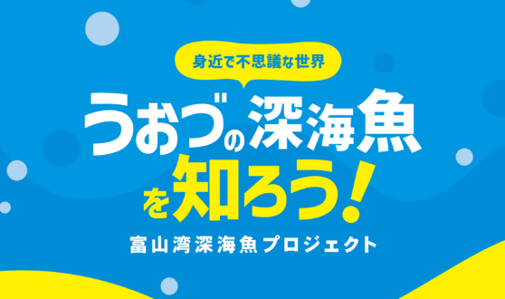 魚津の深海魚を知ろう！パンフレット